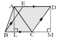 Class IX, Mathematics, NCERT, CBSE, Questions and Answer, Q and A, Important