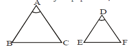 Class X, Mathematics, NCERT, CBSE, Question and Answer, Q and A, Important