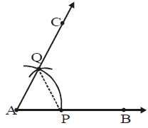 Class IX, Mathematics, NCERT, CBSE, Questions and Answer, Q and A, Important