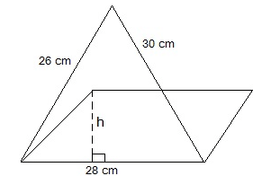 Class IX, Mathematics, NCERT, CBSE, Questions and Answer, Q and A, Important