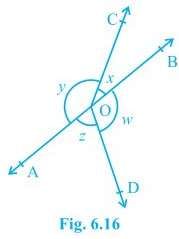 Class IX, Mathematics, NCERT, CBSE, Questions and Answer, Q and A, Important
