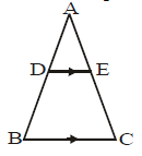 Assignment - Triangles, Class 10 Mathematics