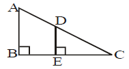 Assignment - Triangles, Class 10 Mathematics