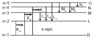 Atoms - Chapter Notes, Class 12, Physics