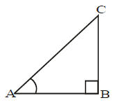 trigonomerty, Mathematics, class X, NCERT, CBSE, Question and Answers, Q and A, Important, with solutions