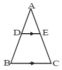Assignment - Triangles, Class 10 Mathematics