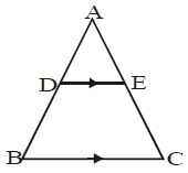 Assignment - Triangles, Class 10 Mathematics