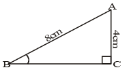 Class 10 Maths,CBSE Class 10,Maths,Class 10,Introduction to Trigonometry