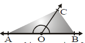 NCRT,Question and Answer,Important,Class 9 Mathematics,CBSE Class 9
