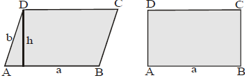 Class IX, Mathematics, NCERT, CBSE, Questions and Answer, Q and A, Important
