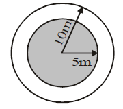 Assignment - Surface Area and Volumes, Class 9 Mathematics
