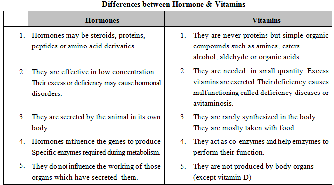 Endocrine System, Chapter Notes, Class 11, Biology