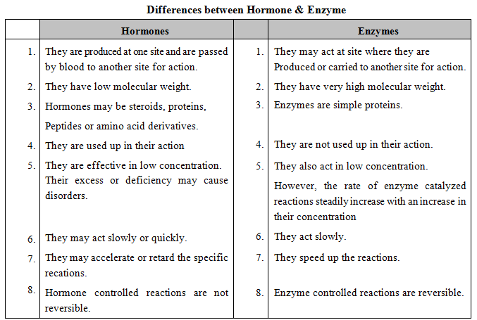 Endocrine System, Chapter Notes, Class 11, Biology