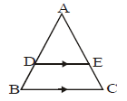 Assignment - Triangles, Class 10 Mathematics