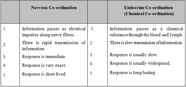 Endocrine System, Chapter Notes, Class 11, Biology