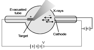 Atoms - Chapter Notes, Class 12, Physics