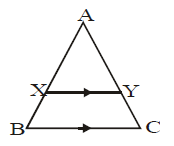 Assignment - Triangles, Class 10 Mathematics