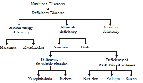 Biology, Class 9, Health and Disease, Types of Diseases, Symptoms