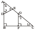 Class 10 Maths,CBSE Class 10,Maths,Class 10,Triangles