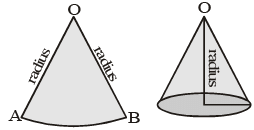 Class 10 Maths,CBSE Class 10,Maths,Class 10,Surface Area and Volumes