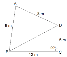 Class IX, Mathematics, NCERT, CBSE, Questions and Answer, Q and A, Important