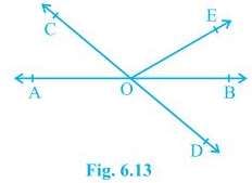 Class IX, Mathematics, NCERT, CBSE, Questions and Answer, Q and A, Important