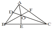 Assignment - Triangles, Class 10 Mathematics