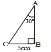 Class 10 Maths,CBSE Class 10,Maths,Class 10,Introduction to Trigonometry