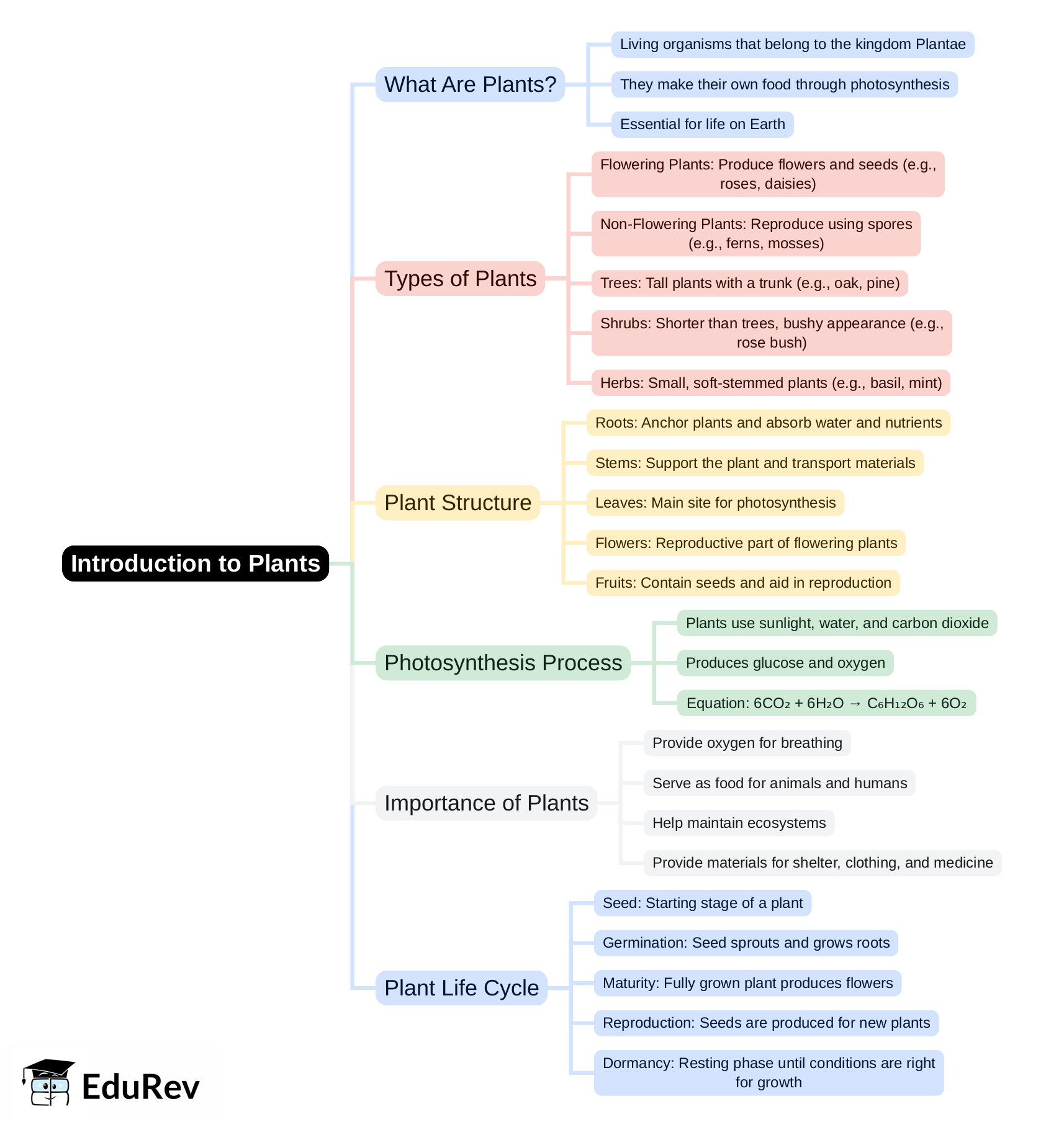 Mind Map: PDF Download