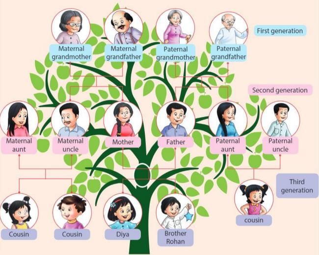 Family Trends Chapter Notes | Social Studies Class 3 ICSE