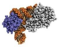 Enzymes Chapter Notes | Biochemistry - NEET PG