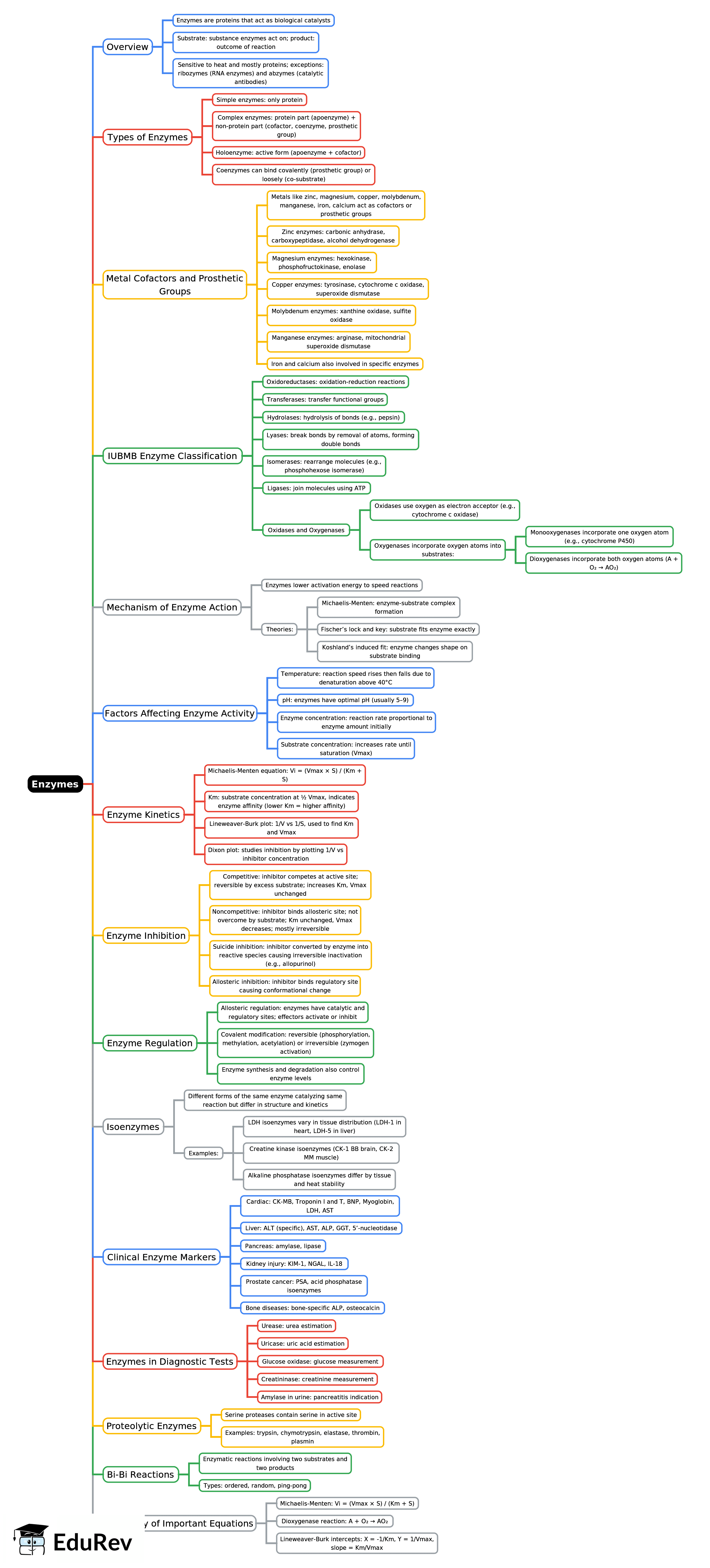 Mind Map: Enzymes | Chemistry for ACT