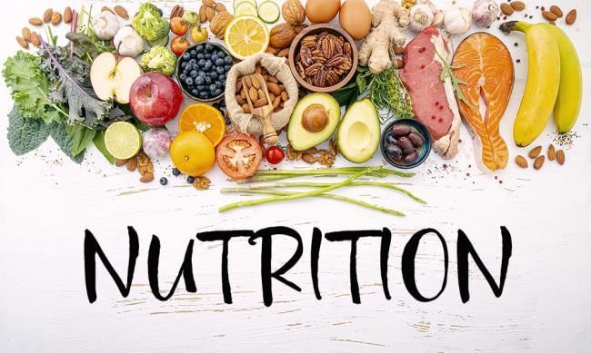 Revision Notes: Nutrition | Biology Class 9 ICSE