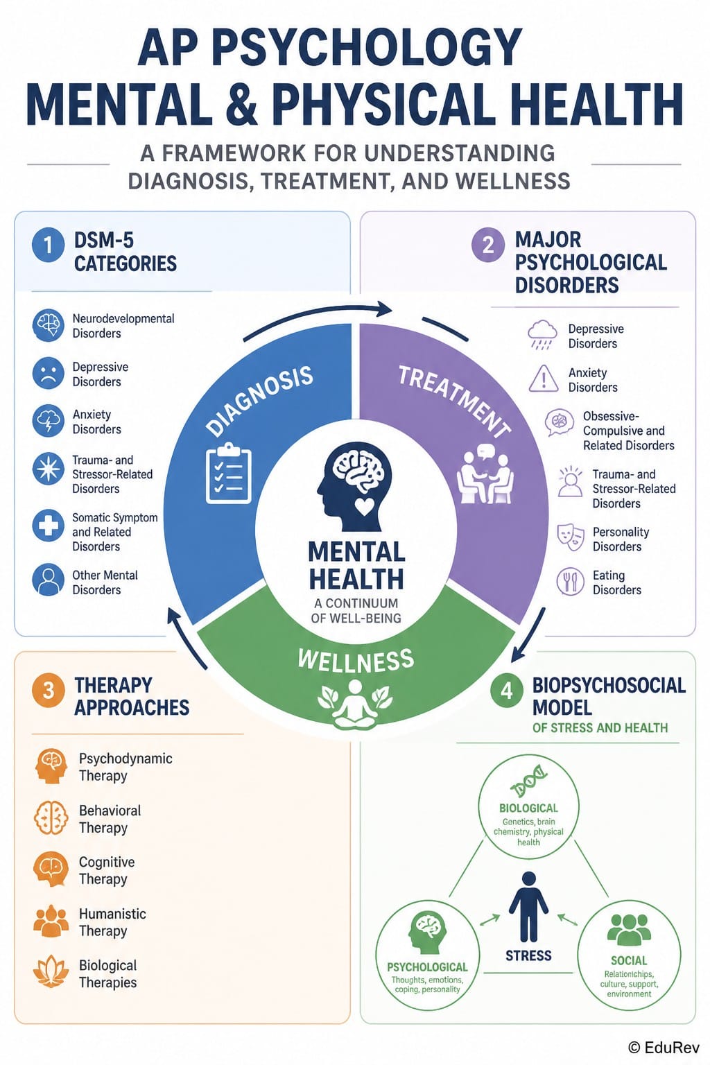 Infographics Mental and Physical Health - AP Psychology - Grade 11