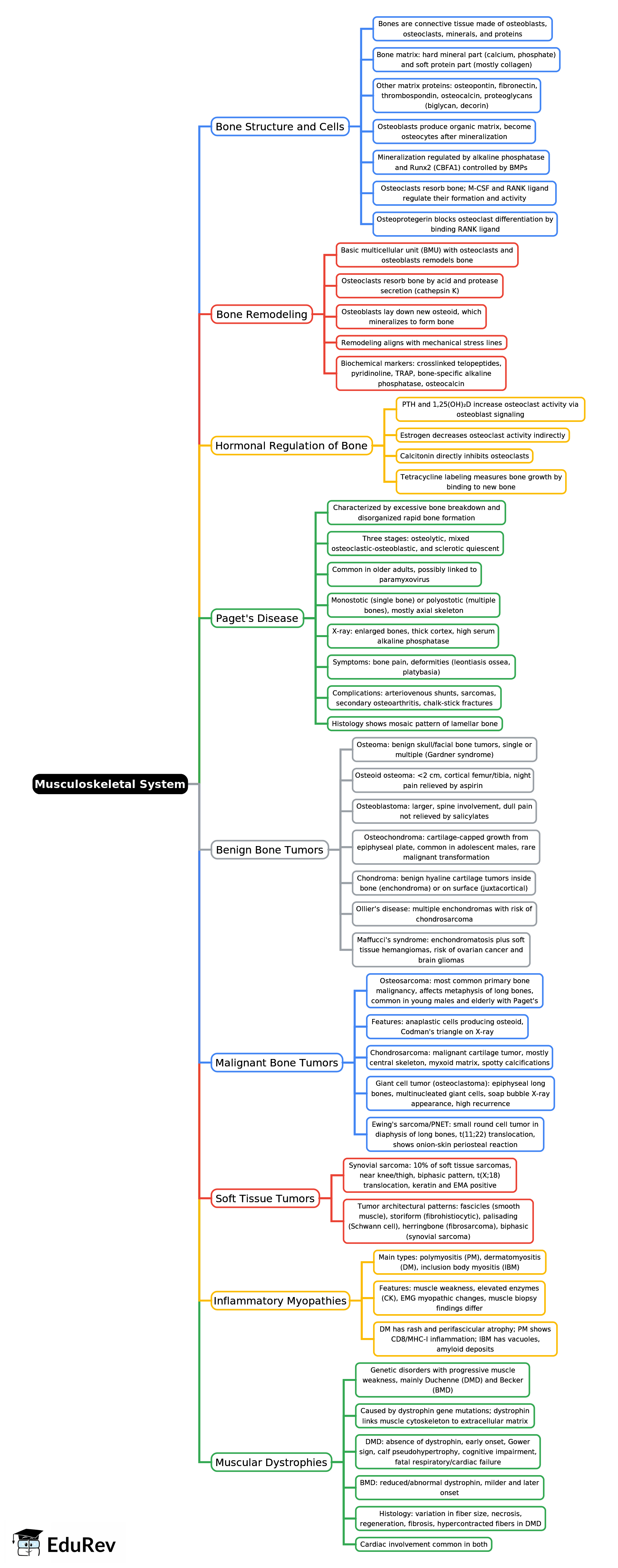 Mind Map: Musculoskeletal System | Pathology - NEET PG
