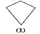 NCERT Solutions for Class 8 Maths - (Ex - 3.1) - Chapter 3: Understanding Quadrilaterals, Maths
