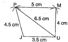 CBSE, NCERT, Syllabus, Important, Class VI, Mathematics, Questions and Answers, Solved