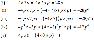 NCERT Solutions (Ex - 9.1,9.2,9.3) - Algebraic Expressions, Class 9, Maths - Class 8