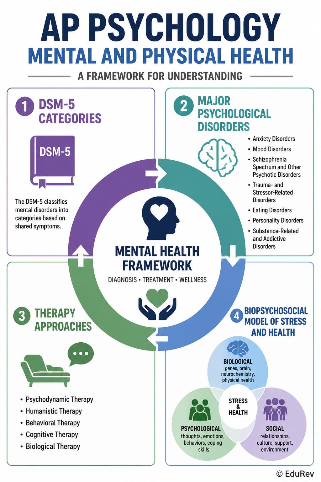 Infographics Mental and Physical Health - AP Psychology - Grade 11