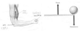 Short and Long Questions with answers, Kinesiology, Biomechanics and Sports, Physical education | Physical Education Class 11 (XI) - CBSE and NCERT Curriculum