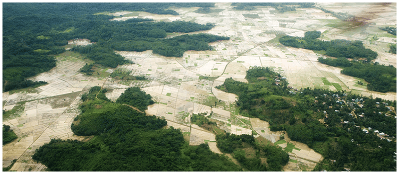 Deforestation - Class 9