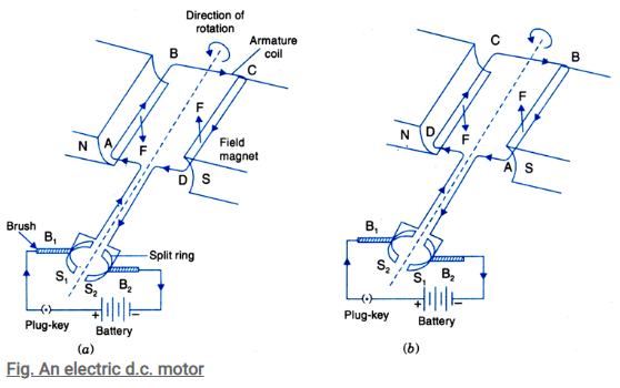 Working of Electric Motor -Magnetic effects of electric current, Class ...