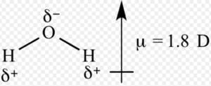 Dipole Moments - Class 11