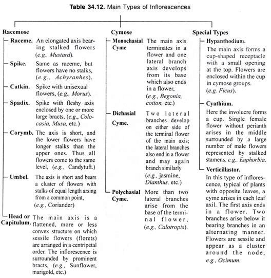 Major Types of Inflorescence - Class 11
