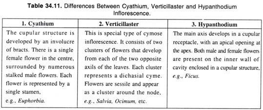 Major Types of Inflorescence - Class 11