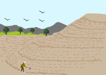 Difference between terrace farming , contour ploughing and contour barriers with explanation? - Class 8