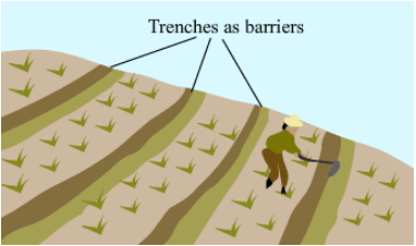 Difference between terrace farming , contour ploughing and contour barriers with explanation? - Class 8