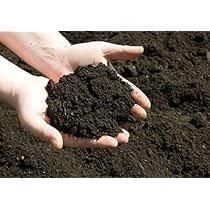 Chhattisgarh: Climate & Soils | Chhattisgarh State PSC (CGPSC) Preparation: All subjects - CGPSC (Chhattisgarh)