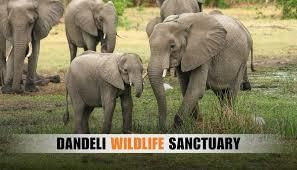 Karnataka: Wildlife and Ecotourism | KPSC KAS Preparation: All subjects - KPSC KAS (Karnataka)