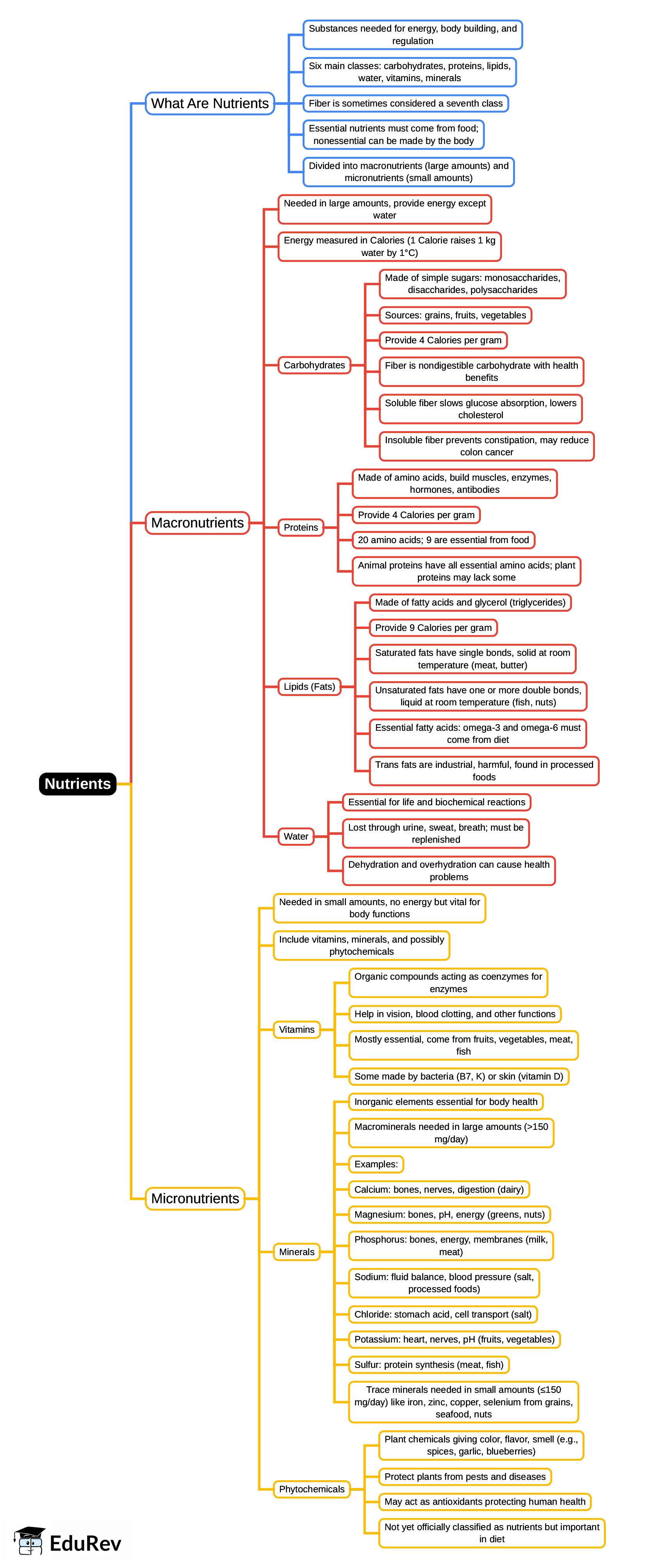 Mind Map: Nutrients | General Awareness for SSC CGL